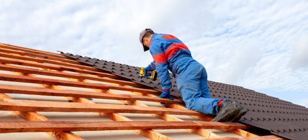 Best Roof Moss and Algae Removal  in Green Park, MO
